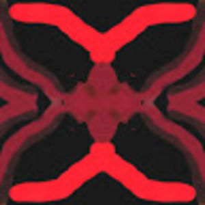 Meet your Posher, Cody